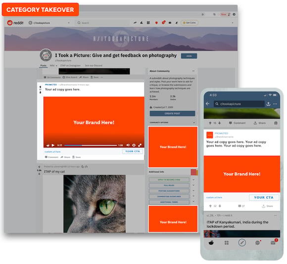 A mockup of Reddit's category takeover ads